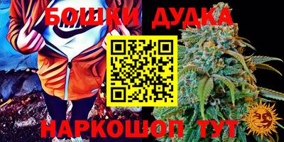 a pvp Дубна