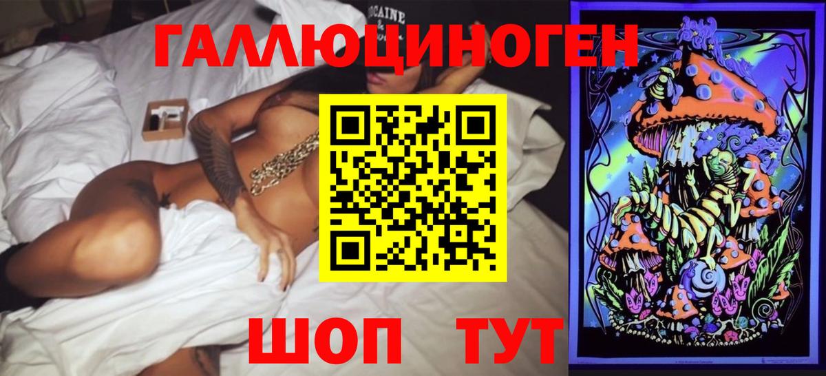 Ярославль  Псилоцибиновые грибы Psilocybe  Вход с VPN  Псилоцибиновые грибы мицелий 