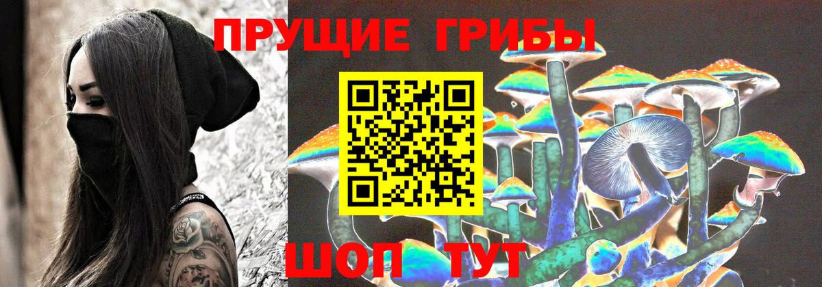 Псилоцибиновые грибы ЛСД Ярославль